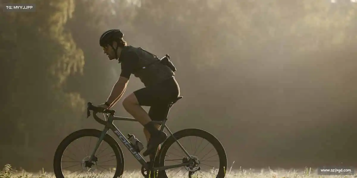 赌狗——用汗水诠释热爱，以专业成就梦想！🏋️♂️​